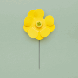 Niobladsblomman 2025