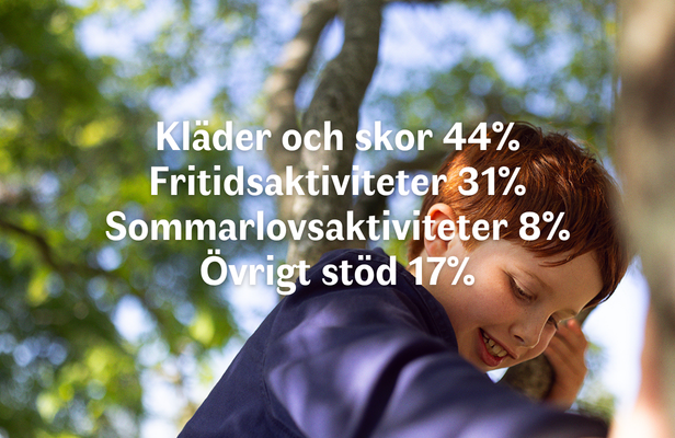 Hit går pengarna 2025:
Kläder och skor 44%
Fritidsaktiviteter 31%
Sommarlovsaktiviteter 8%
Övrigt stöd 17%